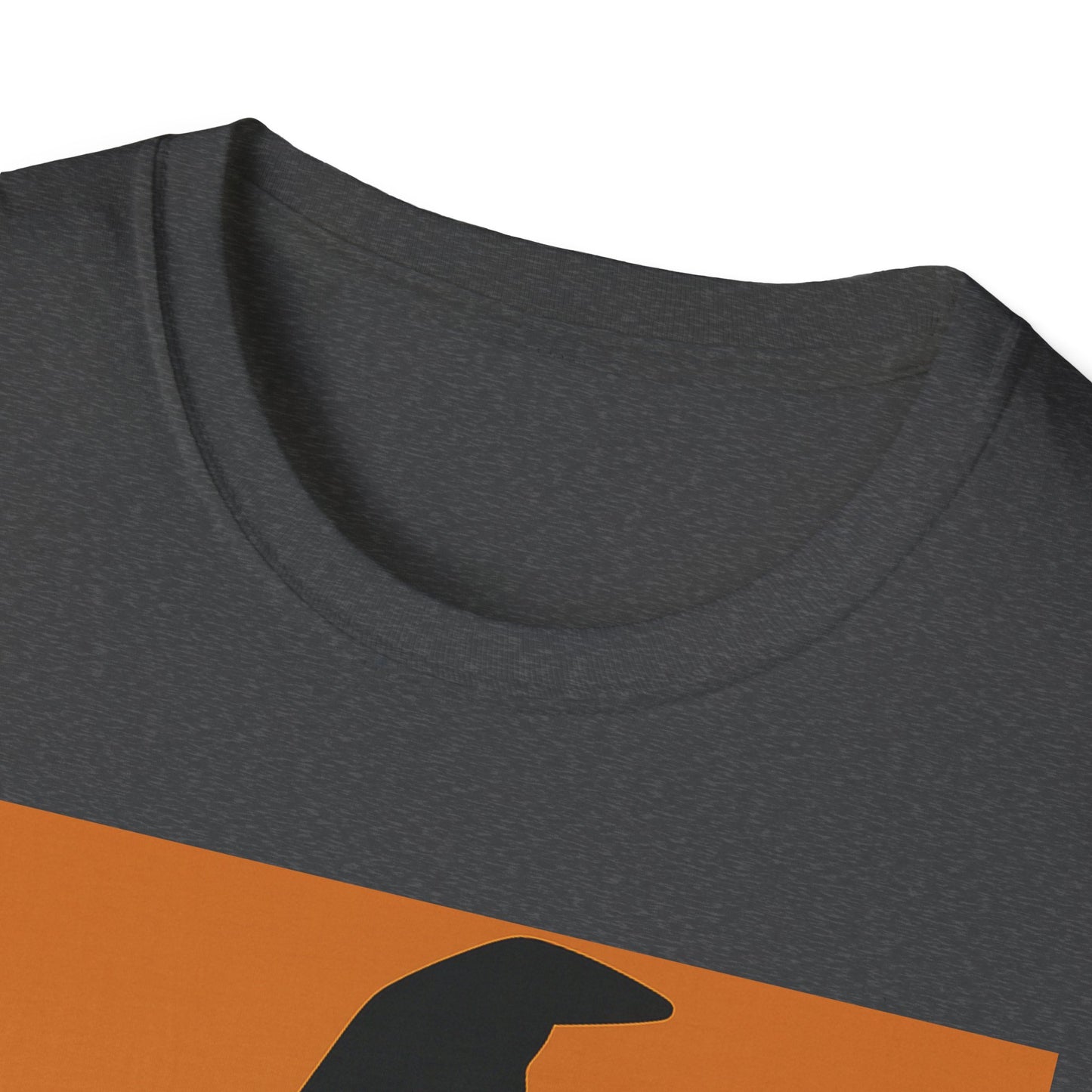 Bold Unisex T-Shirt in Softstyle Fabric