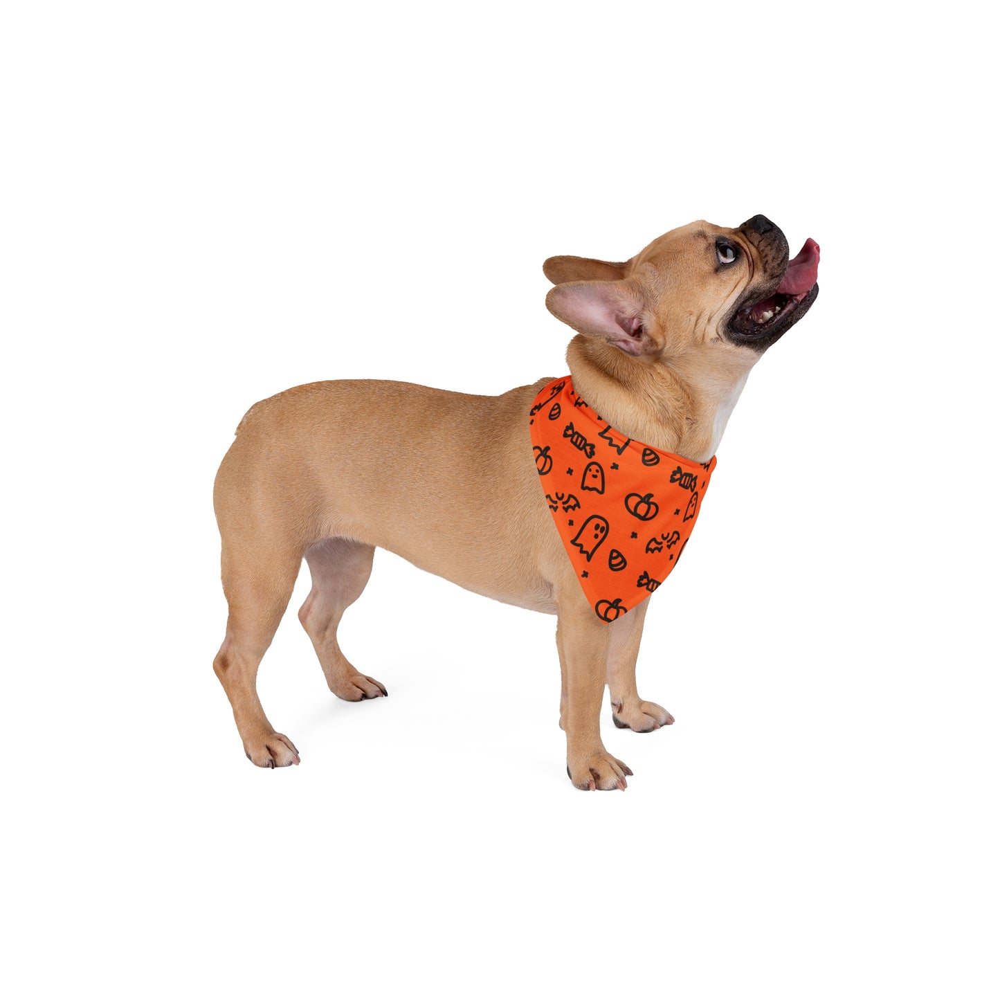 Halloween Pet Bandana - Ghost Print, Cute Pet Costume, Dog Accessories, Cat Bandana, Trick or Treat Petwear